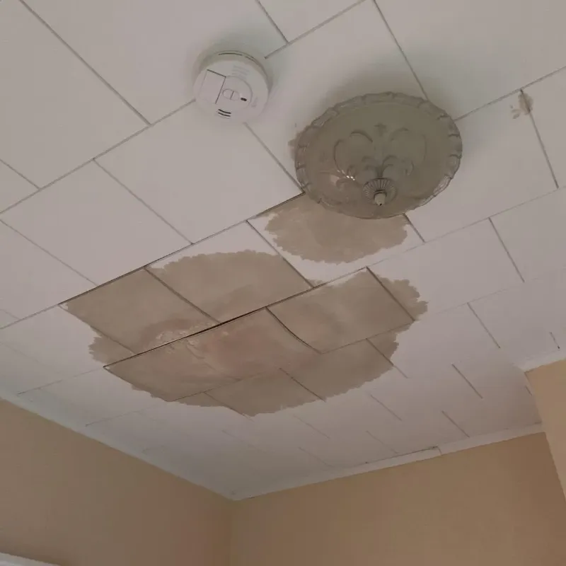 Ceiling Water Damage Repair in Leonia, NJ