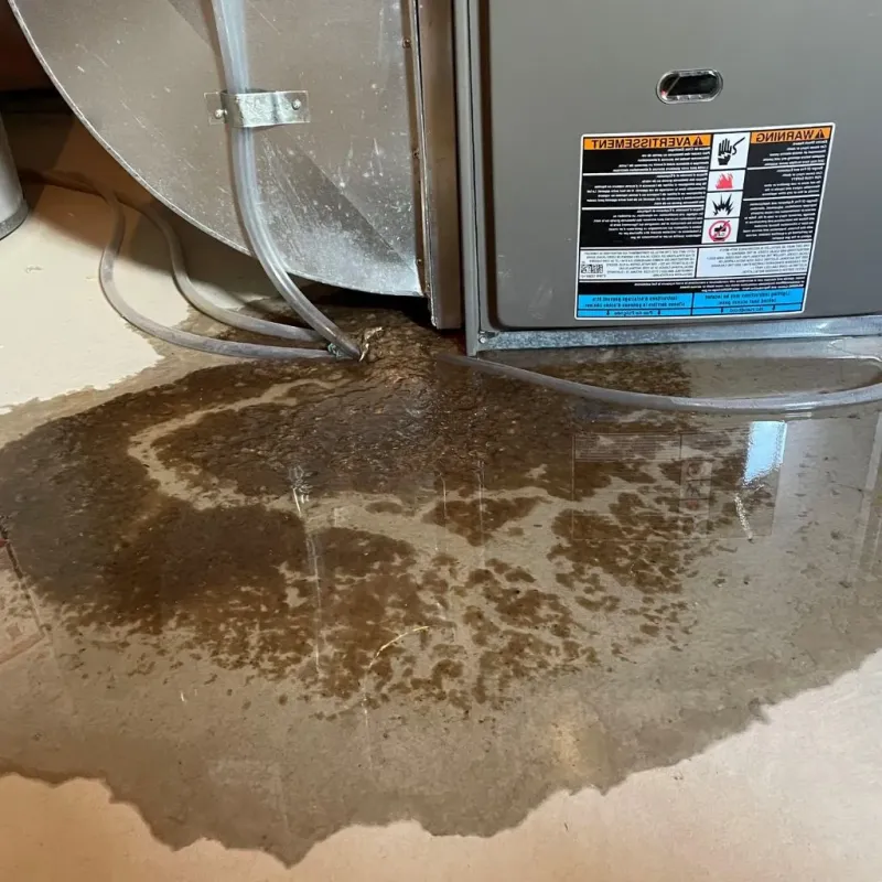 Pipe Burst and Leak Restoration in Leonia, NJ