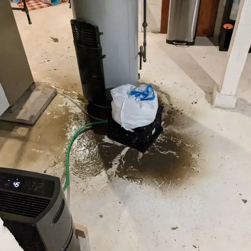Sewage Backup Cleanup Service in Leonia, NJ
